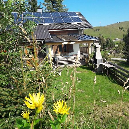 Sommeralmhuette Sankt Kathrein am Offenegg Bagian luar foto