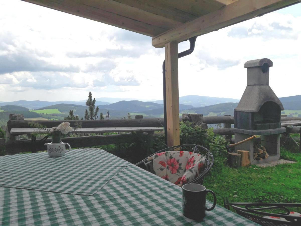 Sommeralmhuette Sankt Kathrein am Offenegg Bagian luar foto