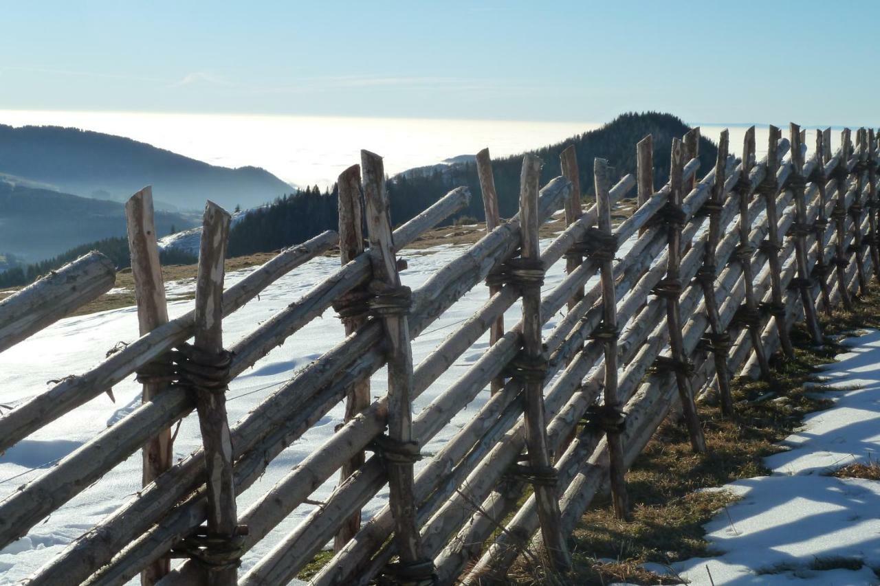Sommeralmhuette Sankt Kathrein am Offenegg Bagian luar foto