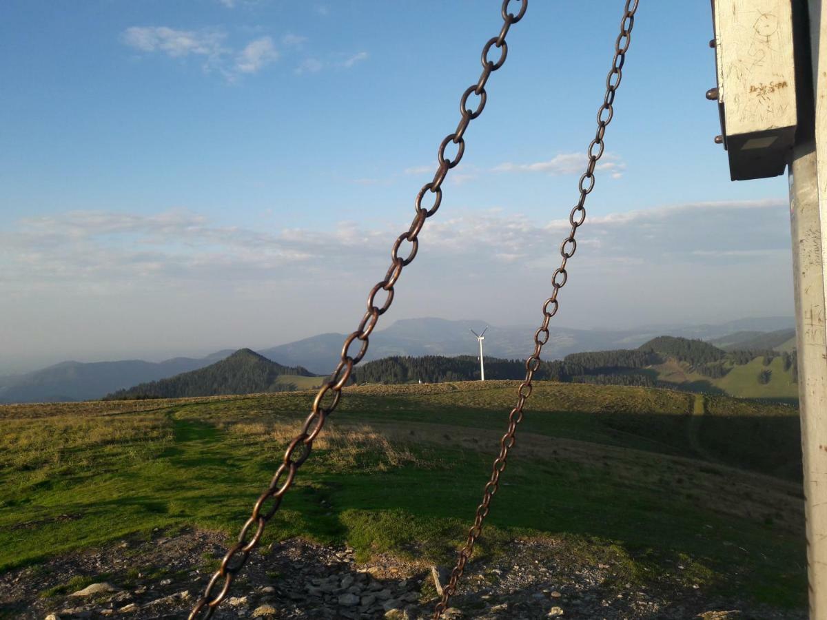 Sommeralmhuette Sankt Kathrein am Offenegg Bagian luar foto